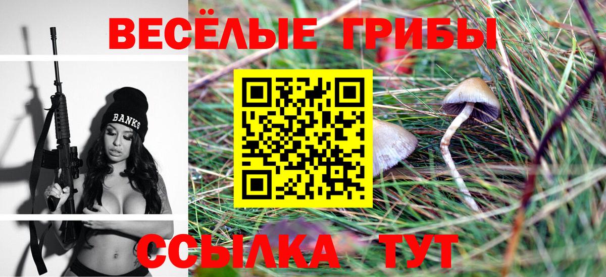 Ликино-Дулёво  Галлюциногенные грибы Magic Shrooms  Вход с VPN  Псилоцибиновые грибы Psilocybe 